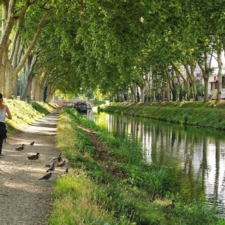 Saint-Sernin - Centre-Ville - Calme - Wifi Fibre Toulouse Ngoại thất bức ảnh